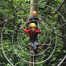 Fly Park – Aventura en las alturas